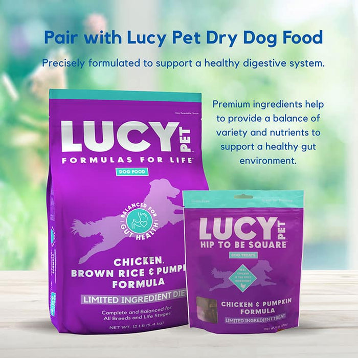 Lucy Pet Products Hip to Be Square Limited Ingredient Dog Treats Chicken & Pumpkin 6 oz