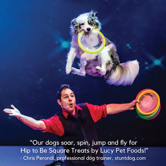 Lucy Pet Products Hip to Be Square Limited Ingredient Dog Treats Chicken & Pumpkin 6 oz