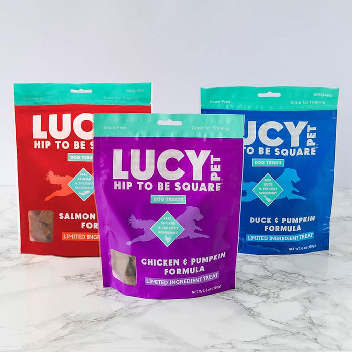 Lucy Pet Products Hip to Be Square Limited Ingredient Dog Treats Chicken & Pumpkin 6 oz