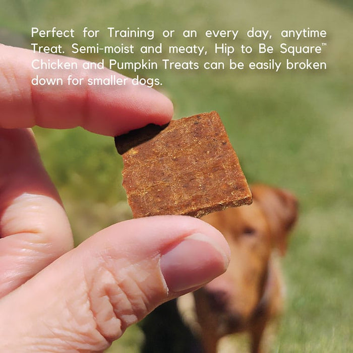 Lucy Pet Products Hip to Be Square Limited Ingredient Dog Treats Chicken & Pumpkin 6 oz