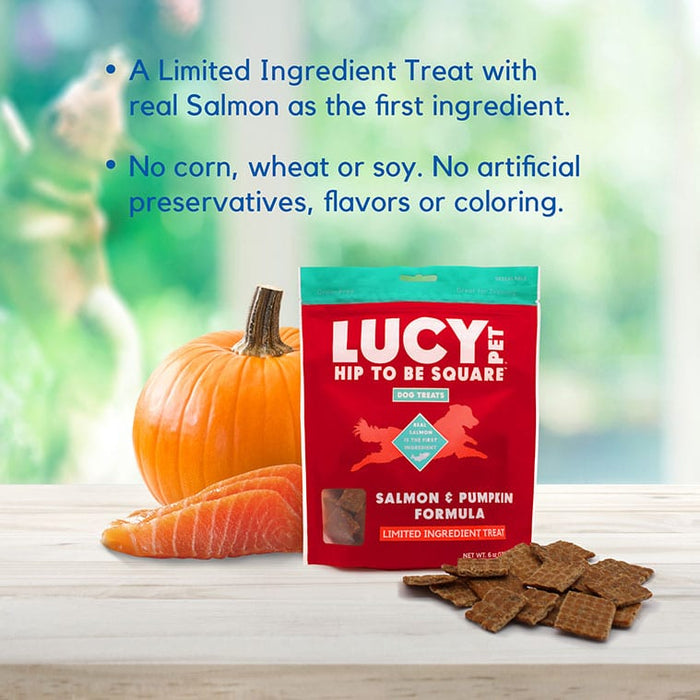 Lucy Pet Products Hip to Be Square Limited Ingredient Dog Treats Salmon & Pumpkin 6 oz