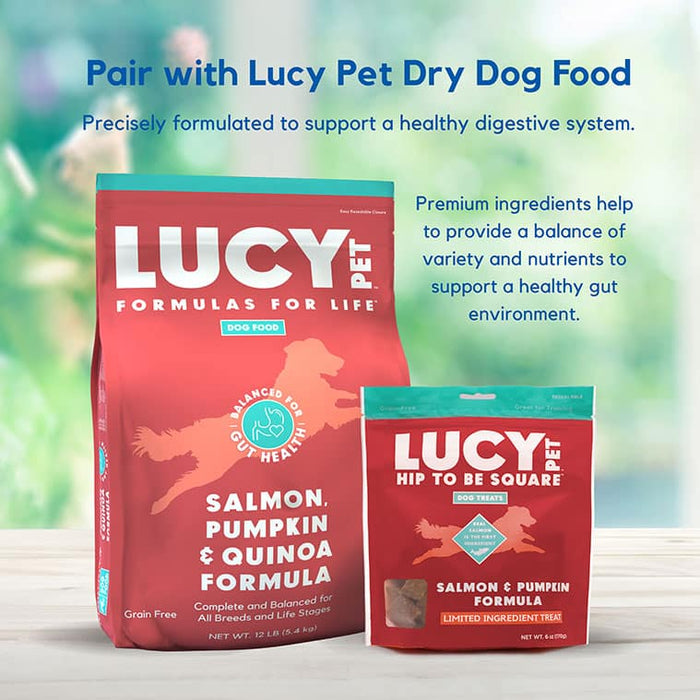 Lucy Pet Products Hip to Be Square Limited Ingredient Dog Treats Salmon & Pumpkin 6 oz