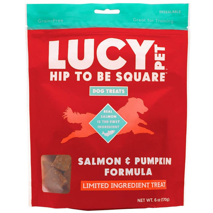 Lucy Pet Products Hip to Be Square Limited Ingredient Dog Treats Salmon & Pumpkin 6 oz