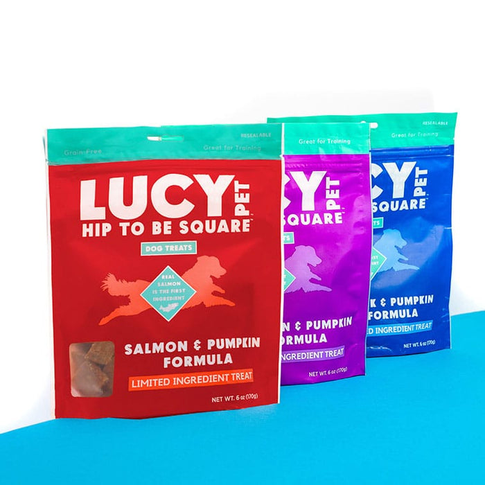 Lucy Pet Products Hip to Be Square Limited Ingredient Dog Treats Salmon & Pumpkin 6 oz