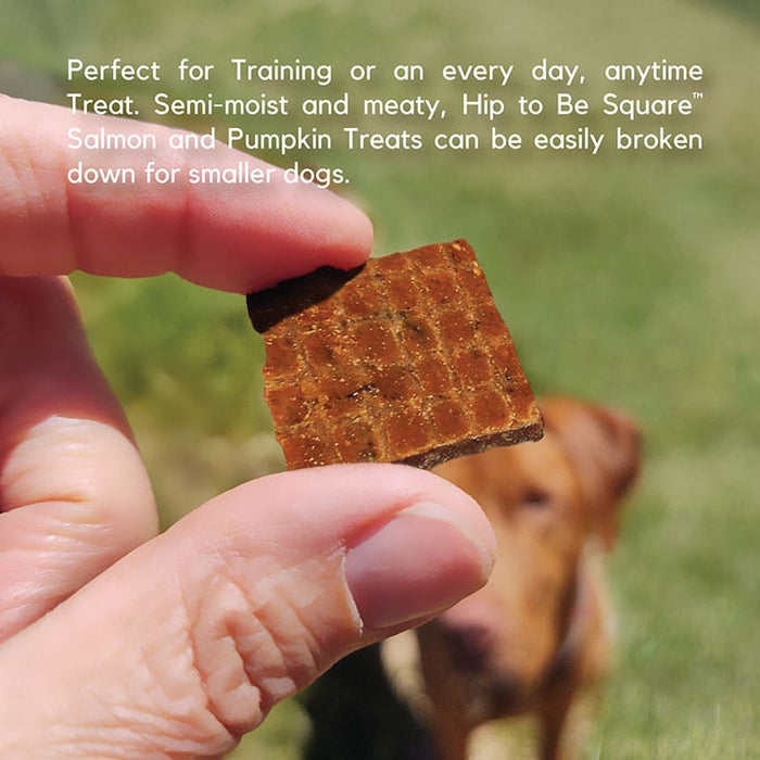 Lucy Pet Products Hip to Be Square Limited Ingredient Dog Treats Salmon & Pumpkin 6 oz
