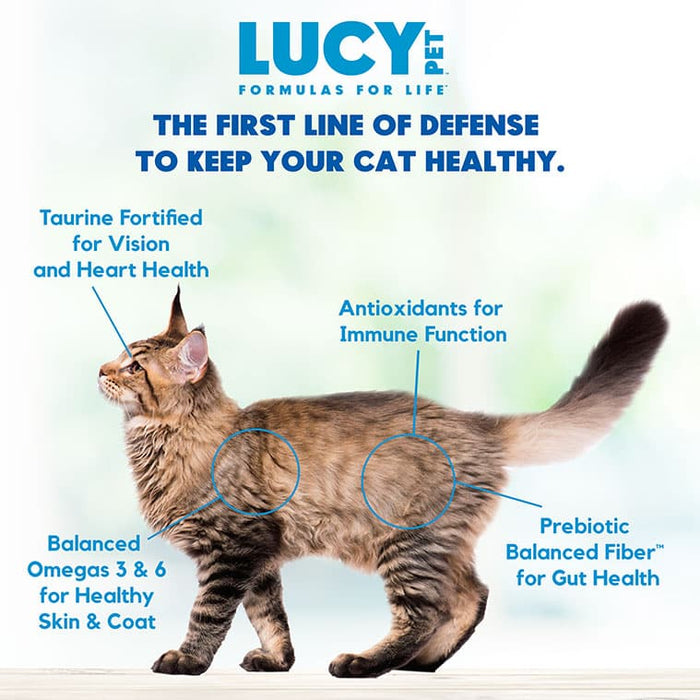 Lucy Pet Products Formulas for Life Dry Cat Food Chicken, Brown Rice & Pumpkin 4lbs