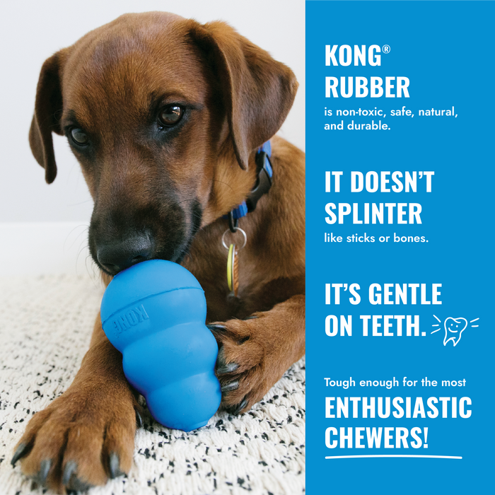 KONG Puppy Toy Assorted XS - 8 - Image 17