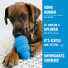 KONG Puppy Toy Assorted XS - 8 - Image 17