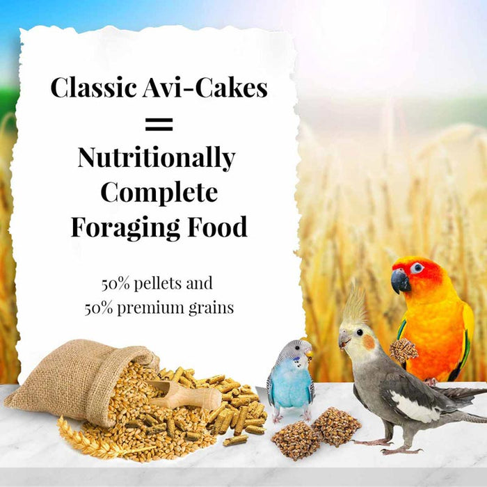 Lafeber Company Classic Avi-Cakes Parakeet & Cockatiel Treat 8oz