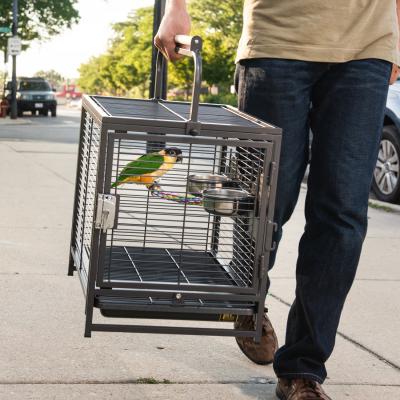 Prevue Pet Products Travel Carrier