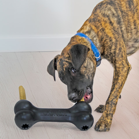 KONG Extreme Goodie Bone Dog Toy Black XL - 9 - Image 11