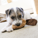 KONG Unstuffed Dog Toy Beaver with Squeaker SM - 4 - Image 6