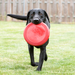 KONG Flyer Dog Toy Red SM - 6 - Image 11
