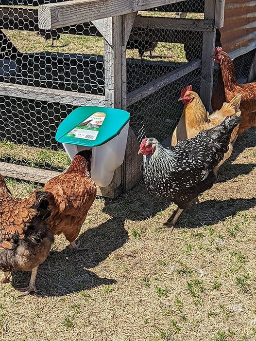 My Favorite Chicken V-Feedr No Waste Feeder, 5-lbs