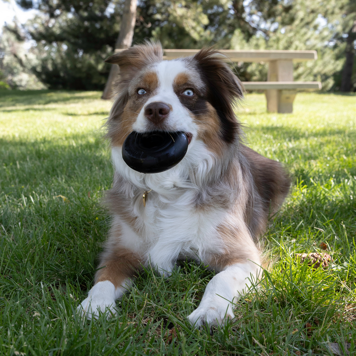 KONG Extreme Donut Dog Toy M/L - 12 - Image 14