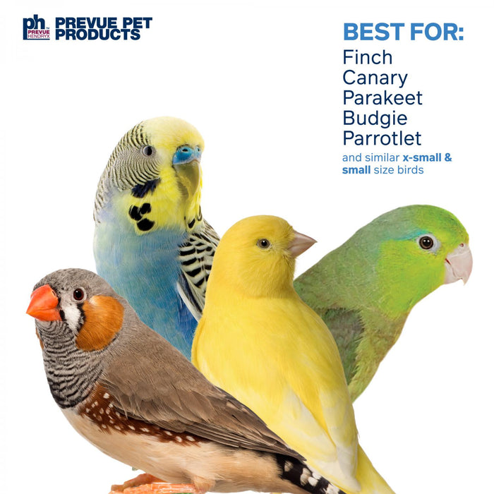 Prevue Pet Products Playfuls Fairy Queen Bird Toy