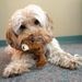 KONG Unstuffed Dog Toy Teddy Bear with Squeaker XS - 4 - Image 6