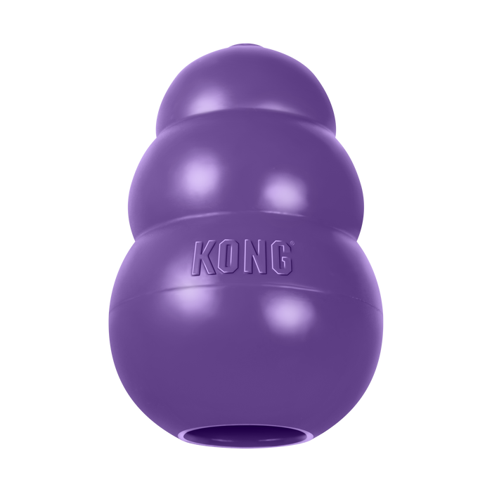 KONG Senior Dog Toy SM - 1 - Image 11