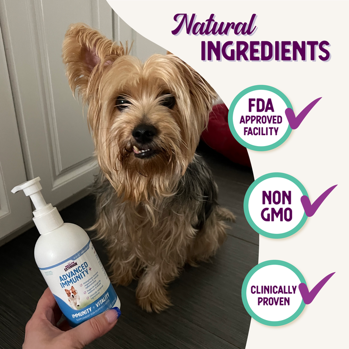 Health Extension Advanced Immunity+