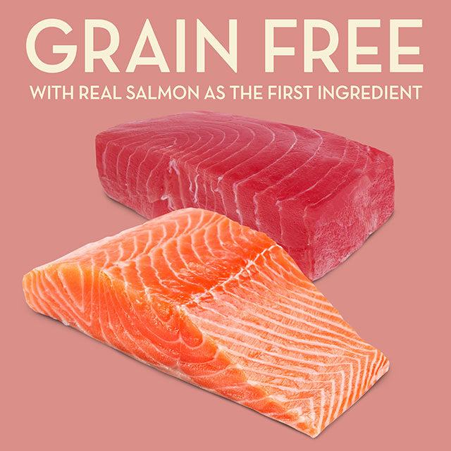 AvoDerm Natural Grain Free Salmon with Tuna Meal Dry Cat Food 2.5 lb