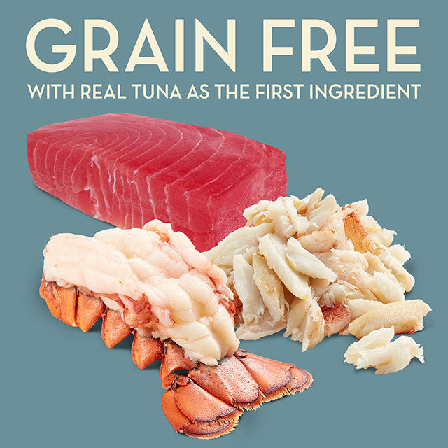 AvoDerm Grain Free Tuna with Lobster & Crab Meal Dry Cat Food 5 lb