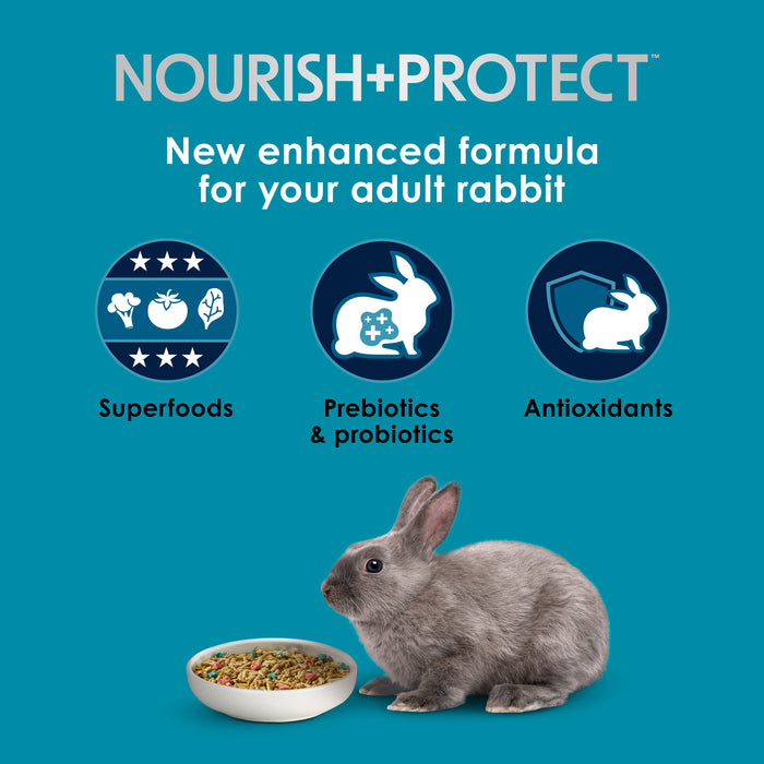 Kaytee Forti-Diet Pro Health Nourish+Protect Adult Rabbit Food 20 Pounds