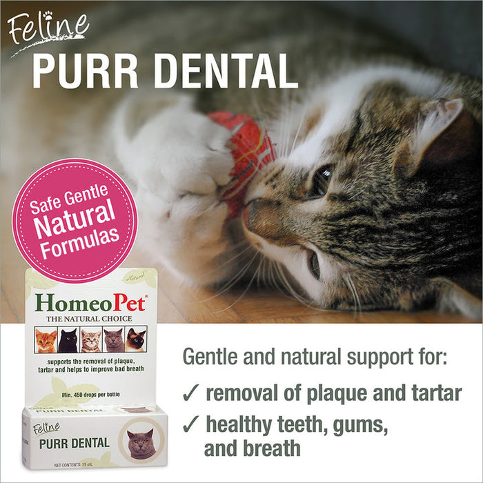 HomeoPet Feline Purr Dental for Cats 0.51 Fl. oz