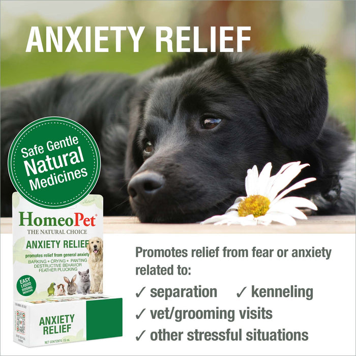 HomeoPet Feline Anxiety Relief Drops 15 ml