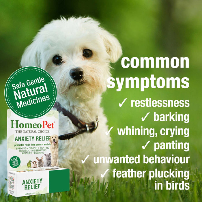 HomeoPet Feline Anxiety Relief Drops 15 ml