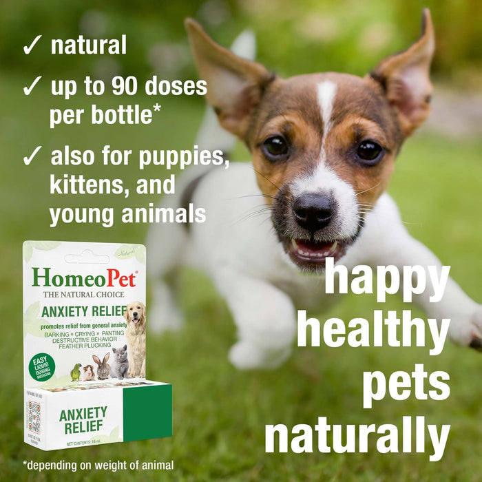 HomeoPet Feline Anxiety Relief Drops 15 ml