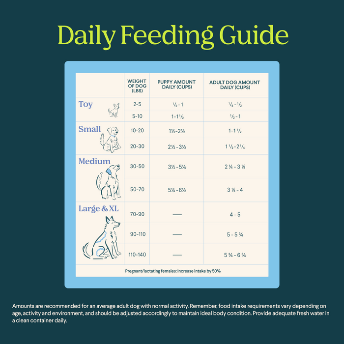 Archway Silver Carp Dog Food