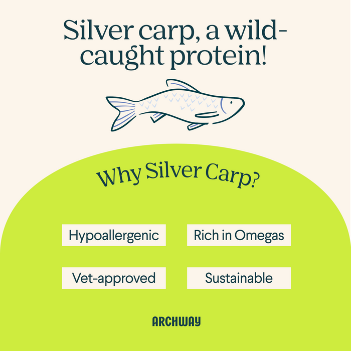 Archway Silver Carp Dog Food