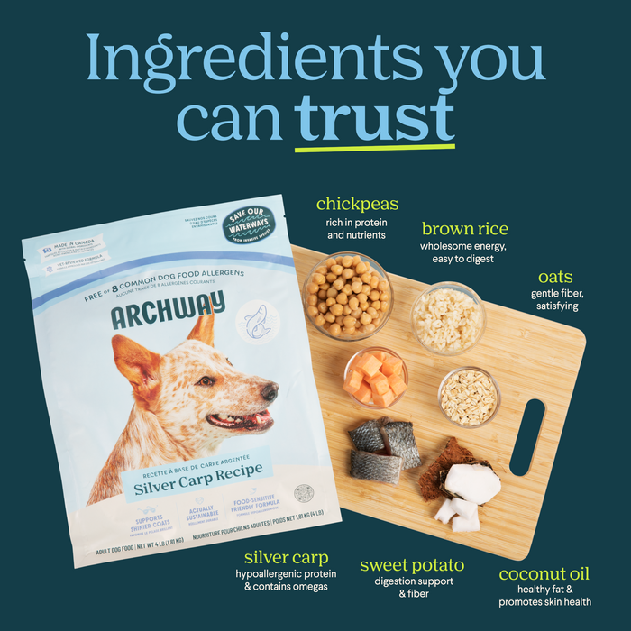 Archway Silver Carp Dog Food