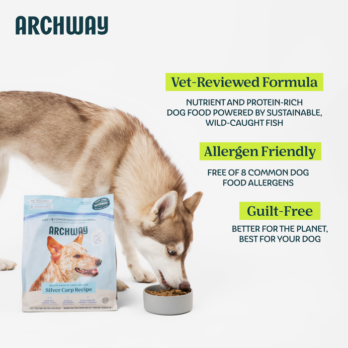 Archway Silver Carp Dog Food