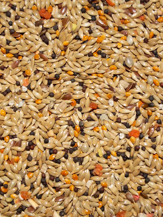 Volkman Seed Company Avian Science Super Canary Bird Treat 20 lb