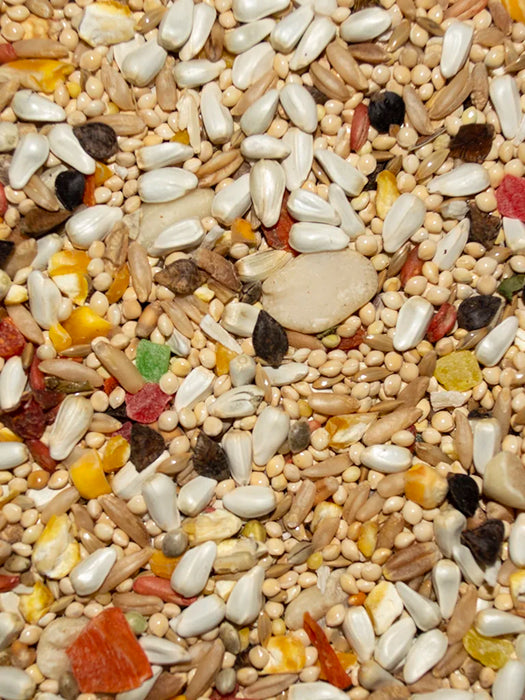 Volkman Seed Company Avian Science Super Cockatiel Bird Treat without Sunflower Seed 40 lb
