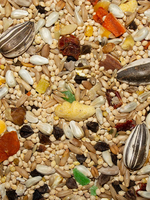 Volkman Seed Company Avian Science Super Cockatiel Bird Treat with Sunflower Seed 4 lb