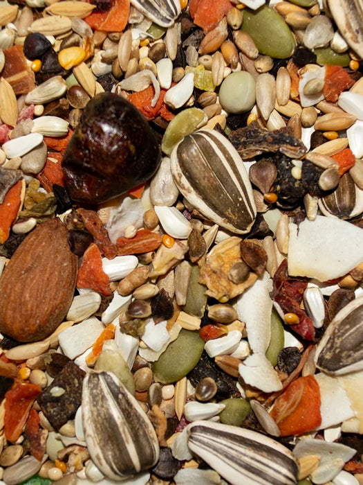Volkman Seed Company Avian Science Super Eclectus Bird Treat 4 lb