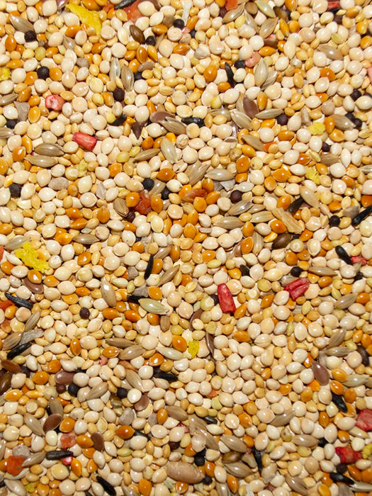 Volkman Seed Company Avian Science Super Finch Bird Treat 20 lb