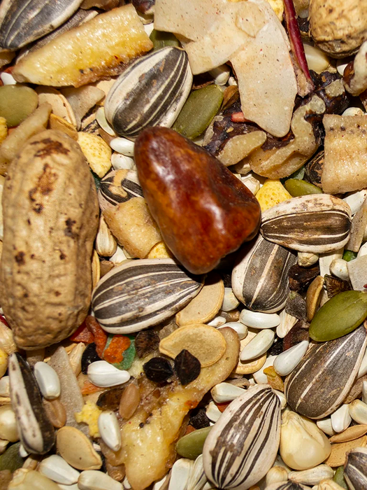 Volkman Seed Company Avian Science Super Parrot Bird Treat 4 lb