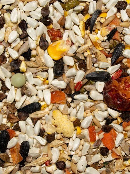 Volkman Seed Company Avian Science Super Parrotlet Bird Treat 20 lb