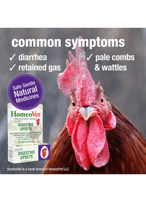 HomeoPet Avian Digestive Upset Supplement 0.5 fl. oz - 3 - Image 7