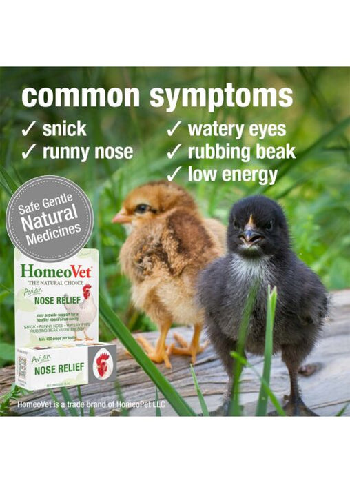 HomeoPet Avian Nose Relief Supplement 0.5 fl. oz for birds - 3 - Image 7