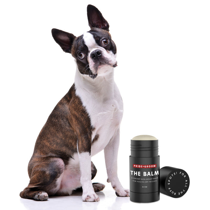 PRIDE+GROOM The Balm Healing Pet Balm — Natural Paw & Nose Moisturizing Balm for Dogs & Cats