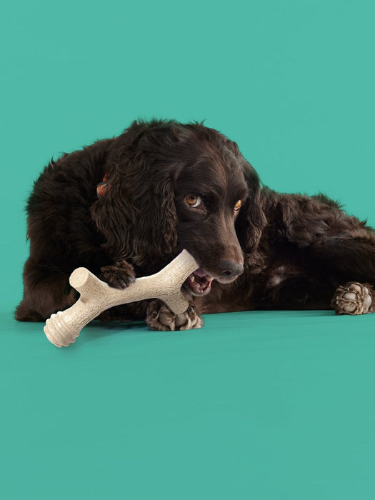 ShopYomp Barkin' Bone - 1 - Image 8