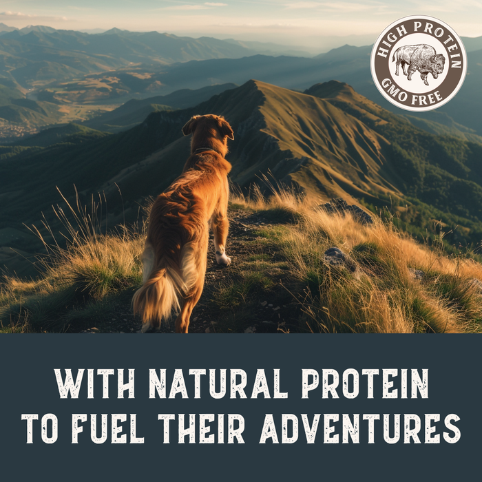 Health Extension Bison & Fish Jerky Dog Treats - 4 - Image 9