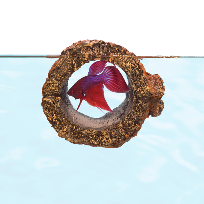 Zoo Med Floating Betta Log Aquarium Ornament Brown