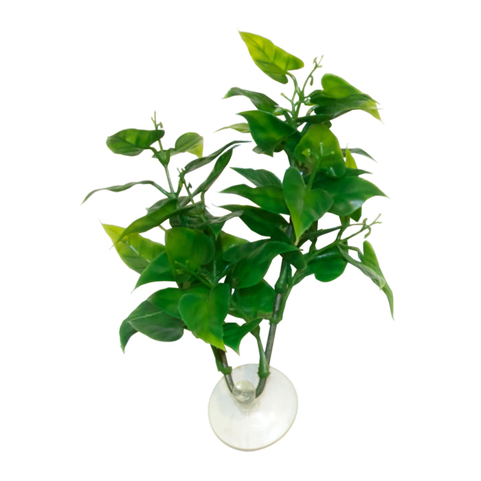 Zoo Med Betta Plant Philo Green