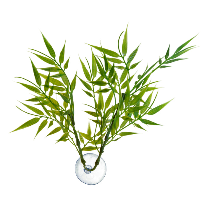 Zoo Med Betta Plant Bamboo Green