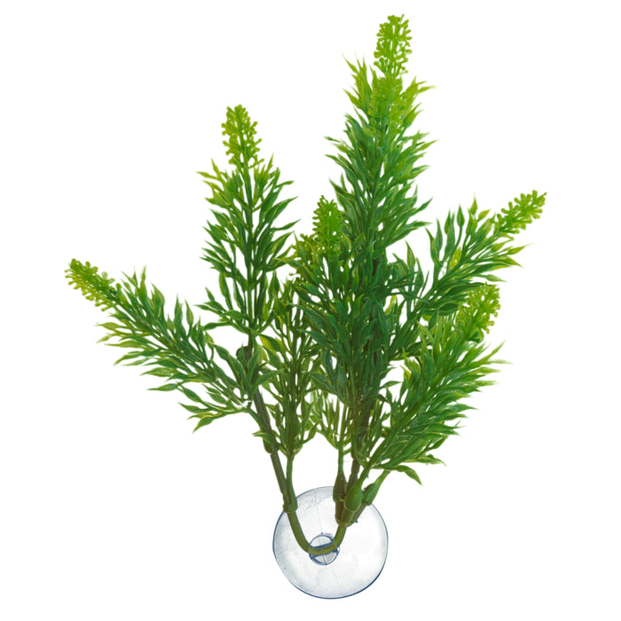 Zoo Med Betta Plant Salvia Green